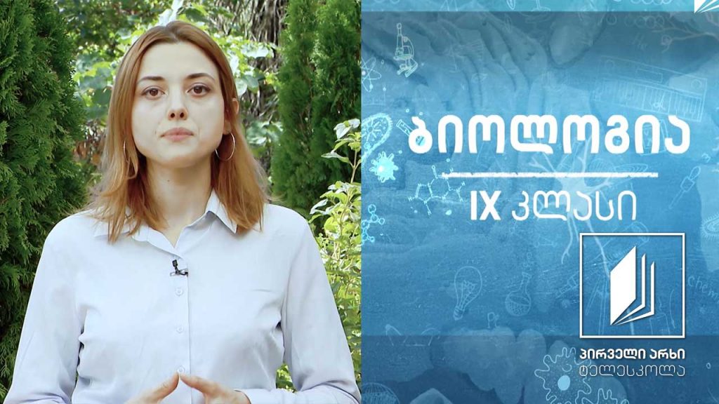 ბიოლოგია, IX კლასი – მიტოზი და მისი მნიშვნელობა #ტელესკოლა