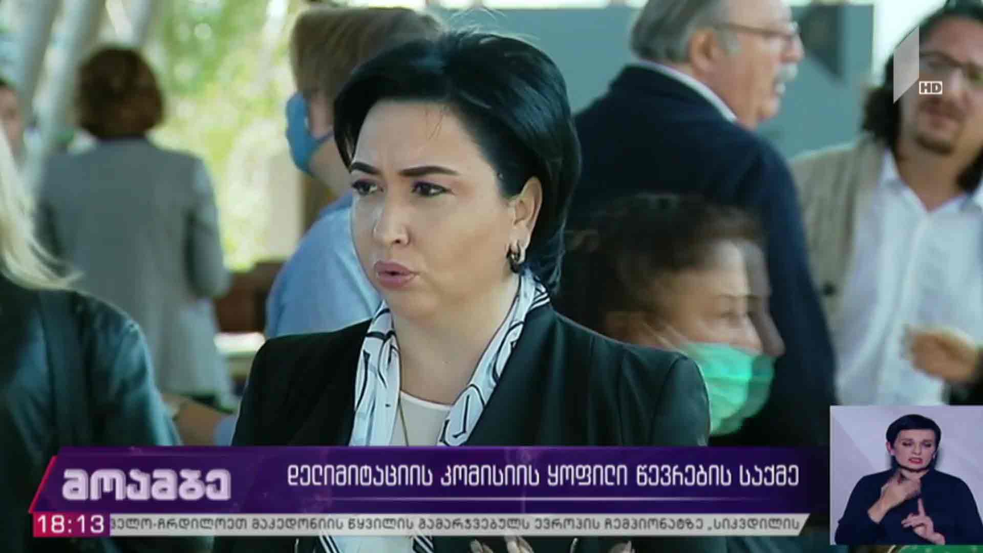 დელიმიტაციის კომისიის ყოფილი წევრების საქმე - შეფასებები