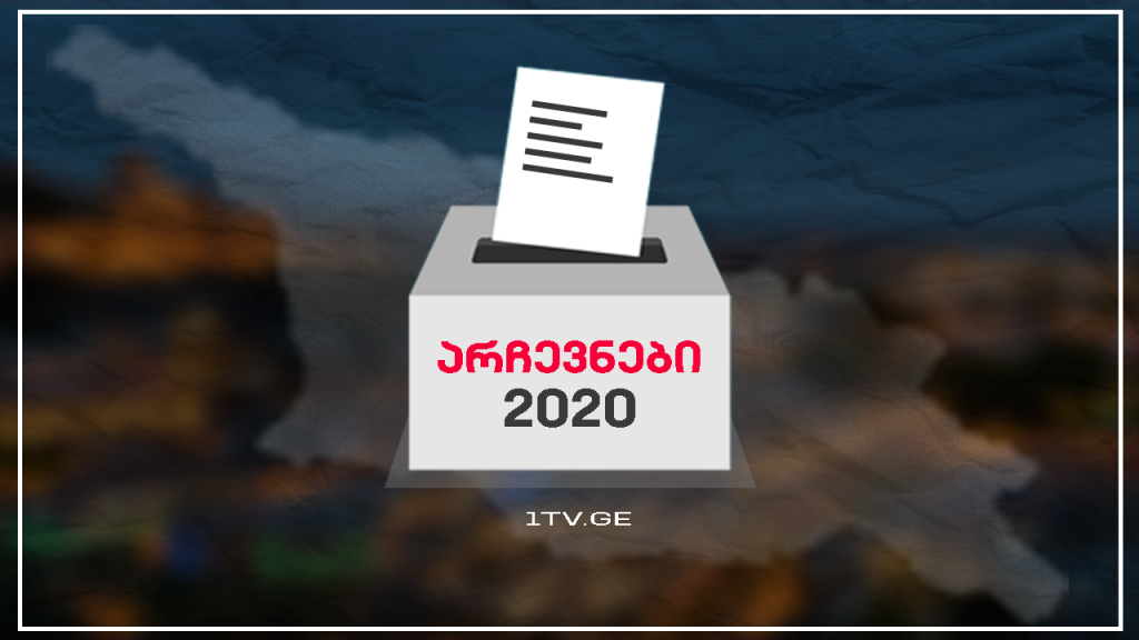 არჩევნები 2020 - საარჩევნო პროგრამები - საქართველო # 20