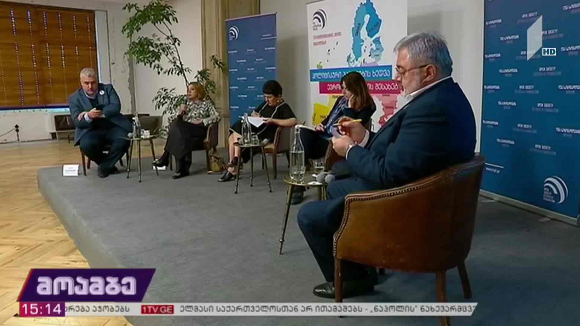 პოლიტიკური პარტიების ხედვები