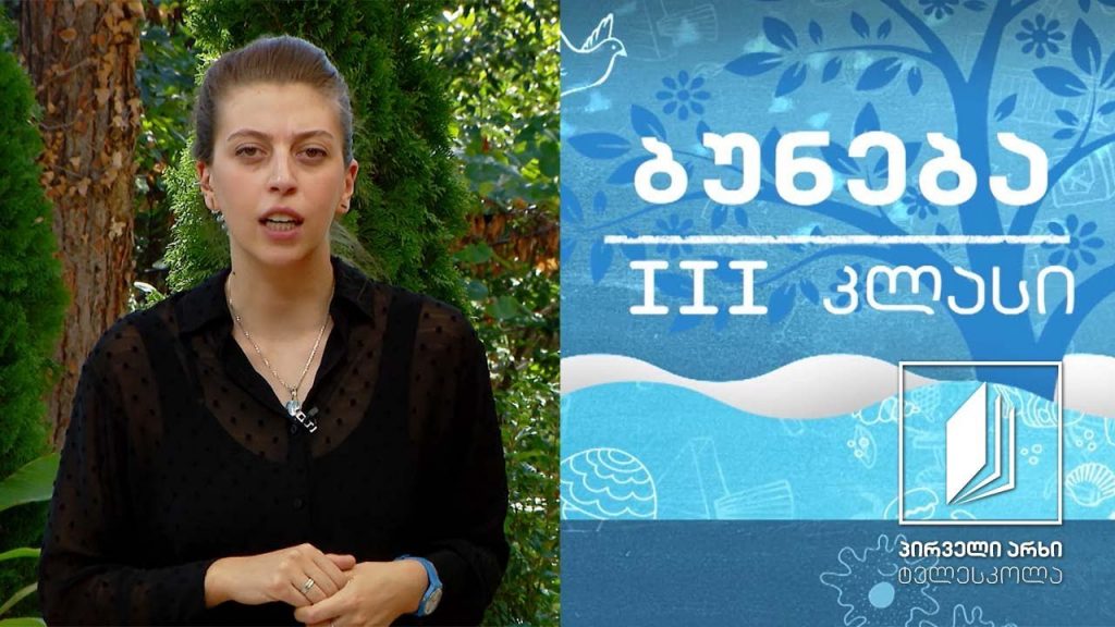 ბუნება, III კლასი – მზის სისტემა – მთვარე #ტელესკოლა