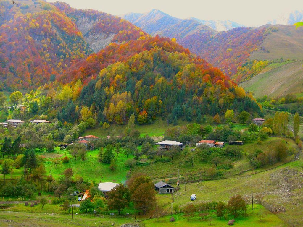 პიკის საათი - 15 ოქტომბერს მსოფლიო სოფლად მცხოვრები ქალების დღეს აღნიშნავს
