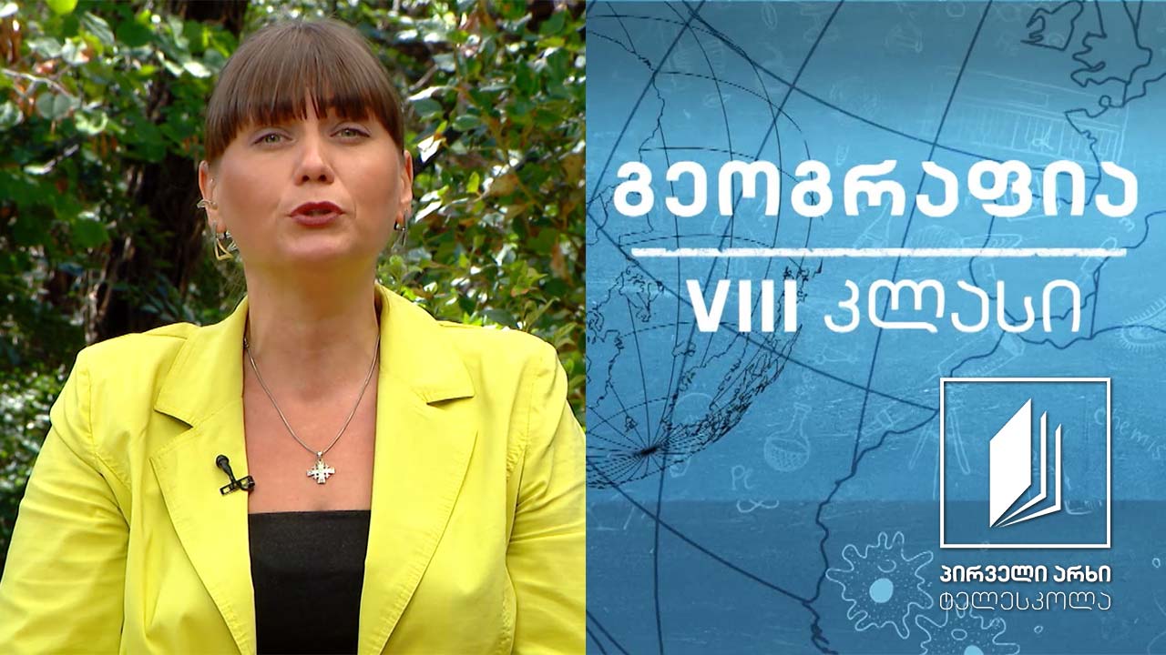 გეოგრაფია, VIII კლასი - მოსახლეობის სქესობრივ-ასაკობრივი სტრუქტურა და მსოფლიო რასები #ტელესკოლა