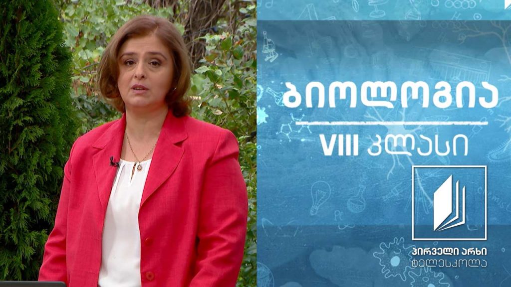 ბიოლოგია, VIII კლასი – ძვალთა შეერთების ტიპები, ჩონჩხის დაზიანების სახეები #ტელესკოლა