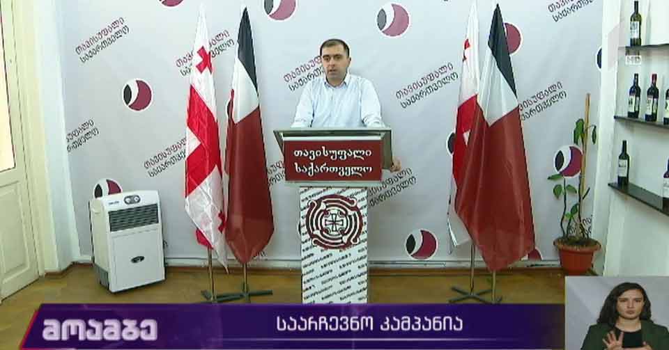 „თავისუფალი საქართველოს“ საარჩევნო კამპანია