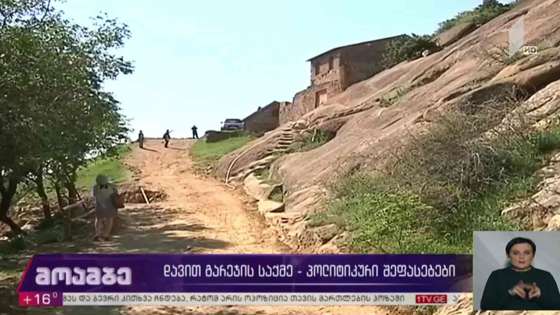 დავით გარეჯის საქმე - პოლიტიკური შეფასებები
