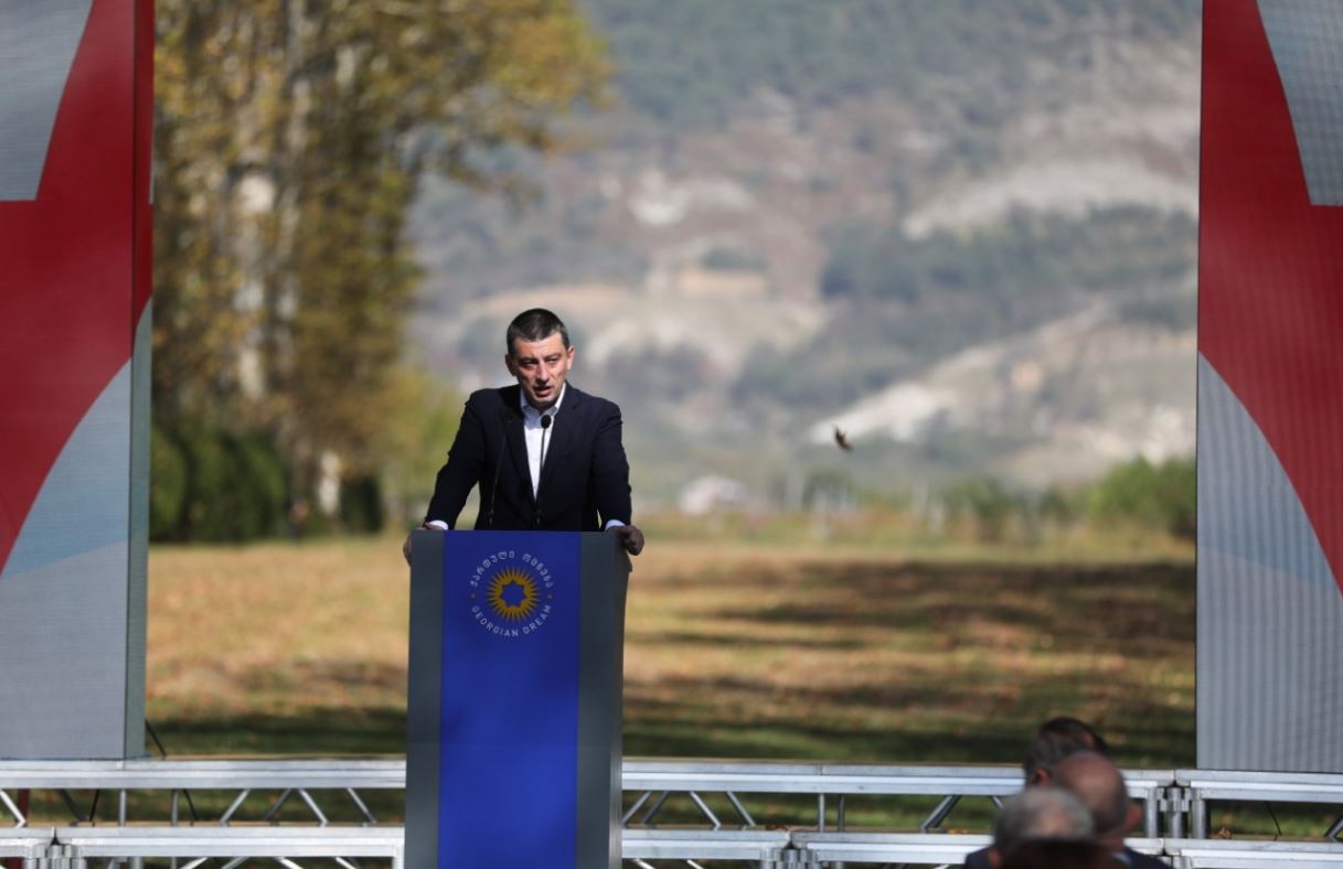 საარჩევნო კამპანია