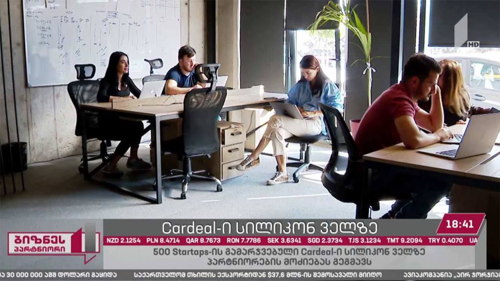 კომპანია Cardeal-ი ინვესტიციების მოსაზიდად ემზადება