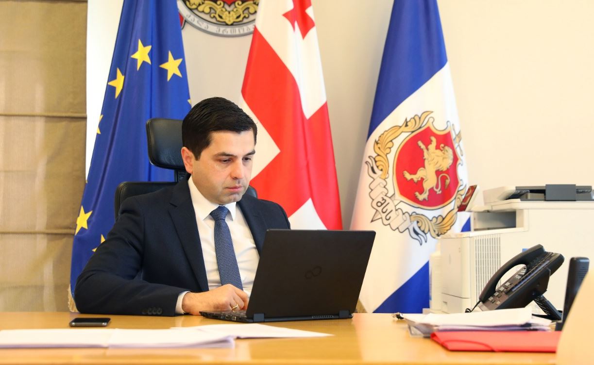 კახა საბანაძემ ევროკავშირის წარმომადგენლებთან შეხვედრაში მიიღო მონაწილეობა