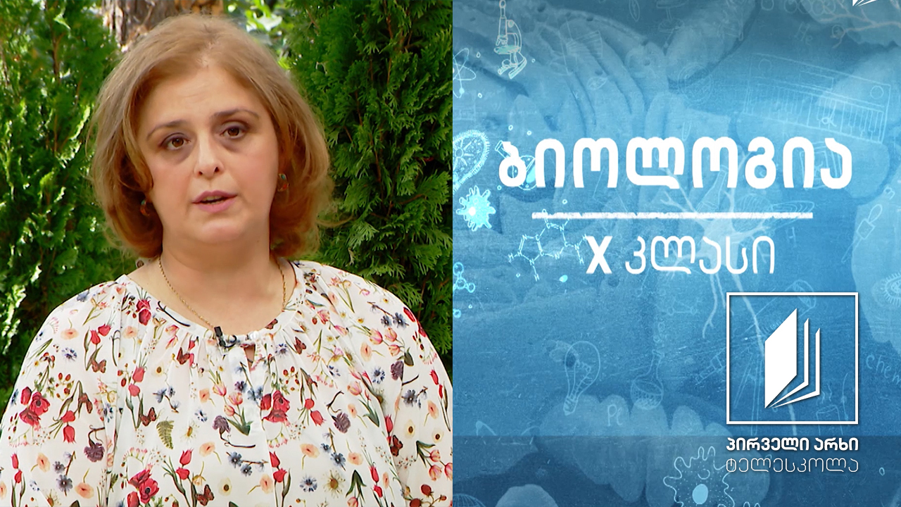ბიოლოგია, X კლასი - უჯრედის ორგანოიდები: ბირთვი, რიბოსომა, ენდოპლაზმური ბადე #ტელესკოლა