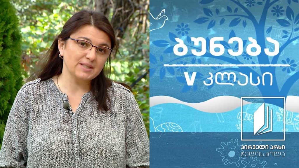 ბუნება V კლასი – ზრუნვა შთამომავლობაზე #ტელესკოლა