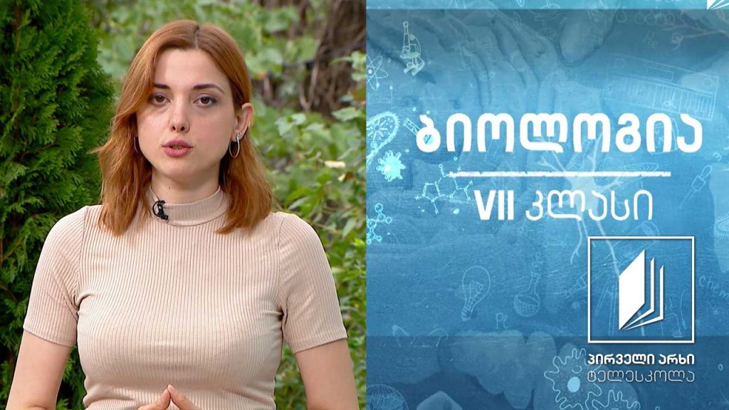 ბიოლოგია, VII კლასი – ბაქტერიები და სასარგებლო მიკროორგანიზმები #ტელესკოლა
