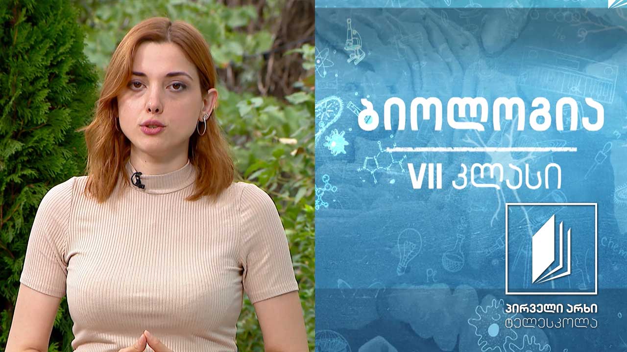 ბიოლოგია, VII კლასი - ბაქტერიები და სასარგებლო მიკროორგანიზმები #ტელესკოლა