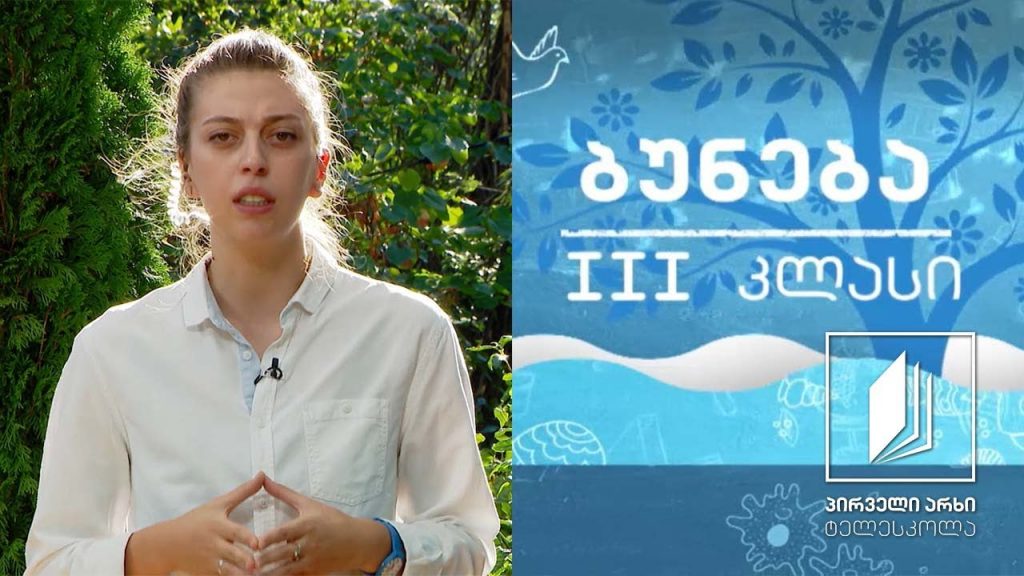 ბუნება, III კლასი – ყვავილოვანი მცენარეები #ტელესკოლა