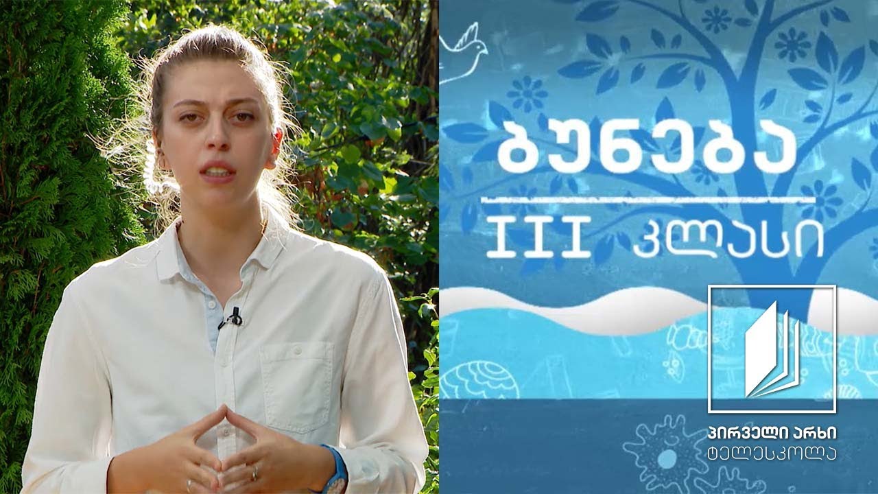 ბუნება, III კლასი - ყვავილოვანი მცენარეები #ტელესკოლა