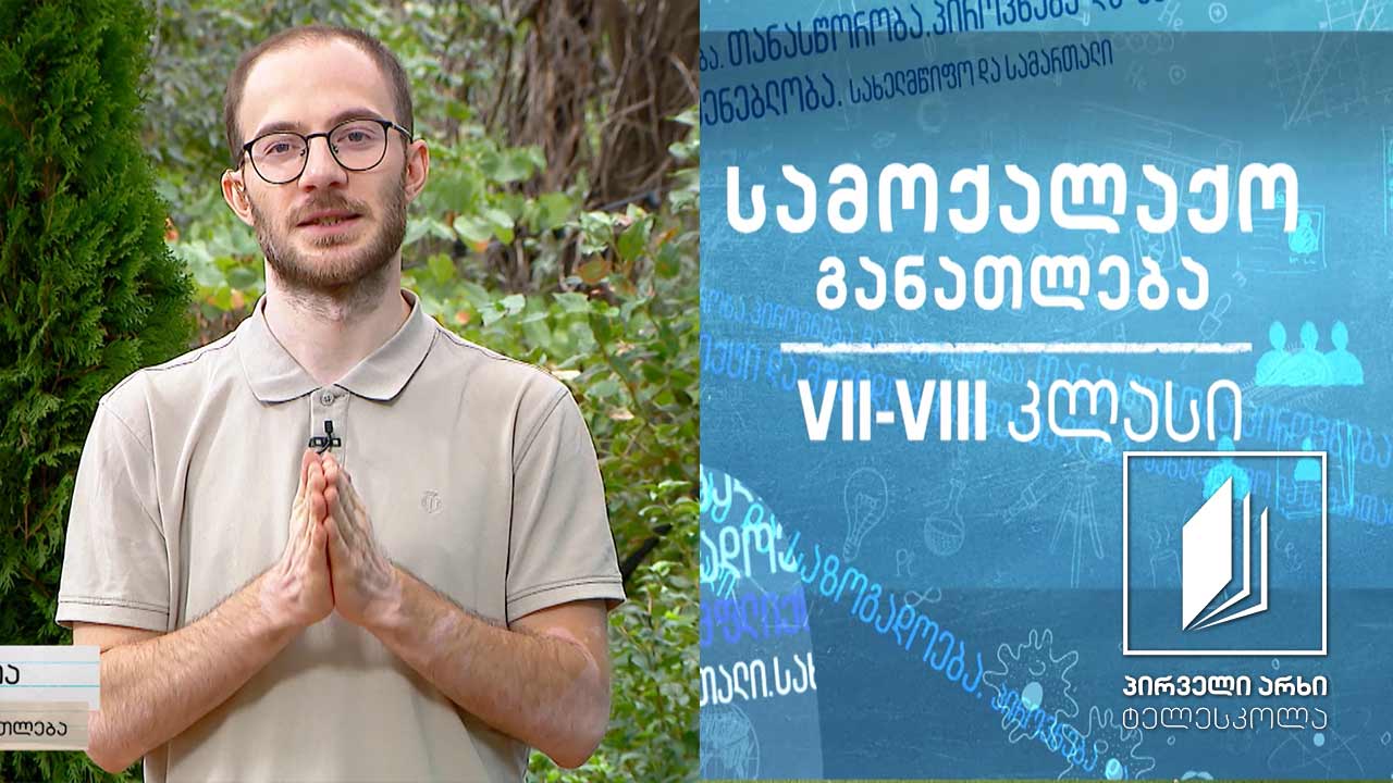 სამოქალაქო განათლება, VII-VIII კლასები - ჩაგვრა და მისი მოგვარების გზები #ტელესკოლა