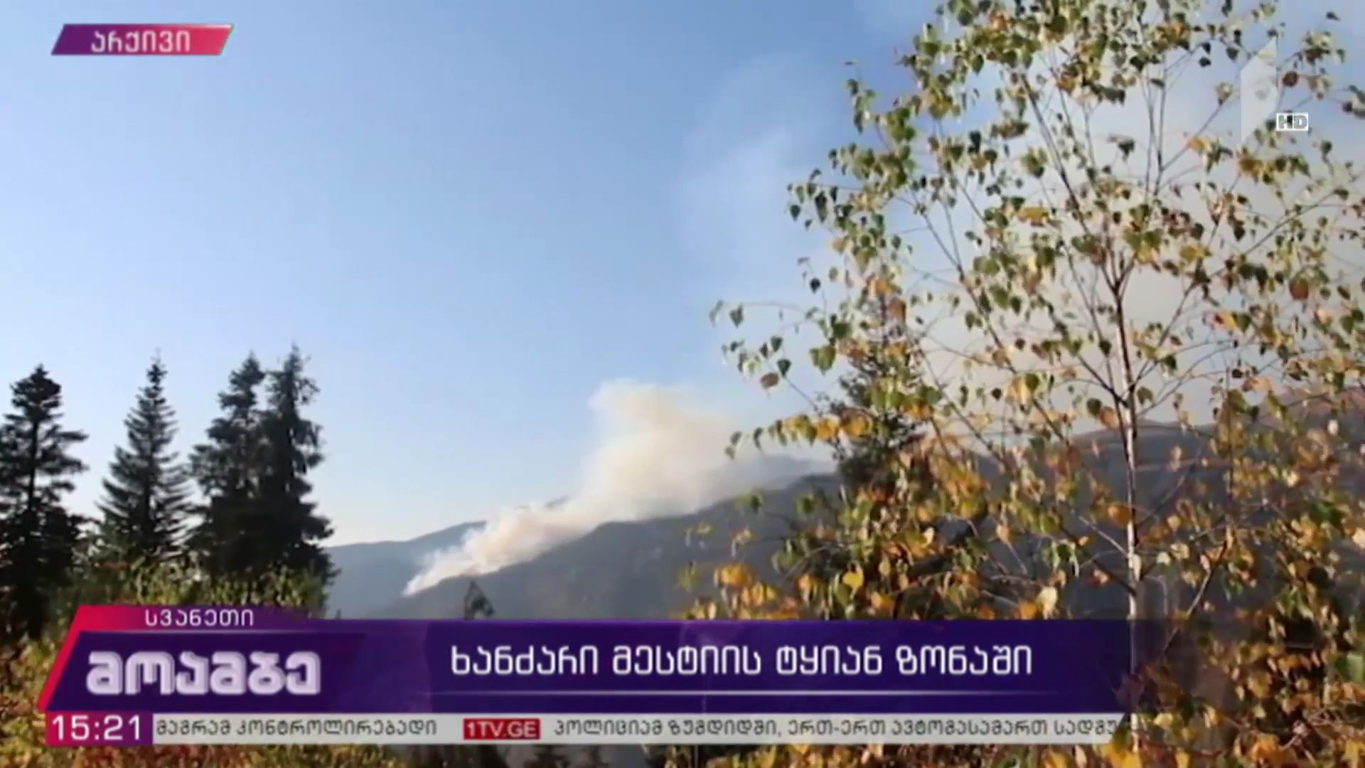 ხანძარი მესტიის ტყიან ზონაში