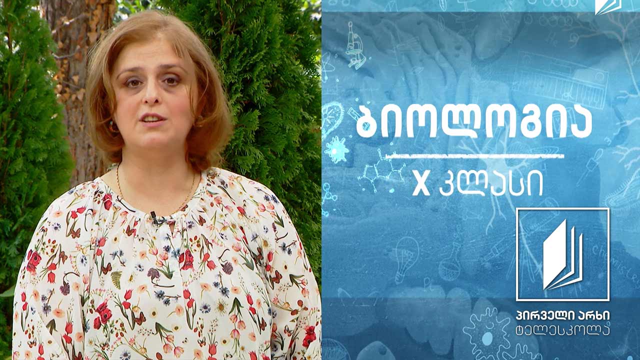 ბიოლოგია, X კლასი - უჯრედის ორგანოიდები: გოლჯის აპარატი. ლიზოსომა, ვაკუოლი #ტელესკოლა