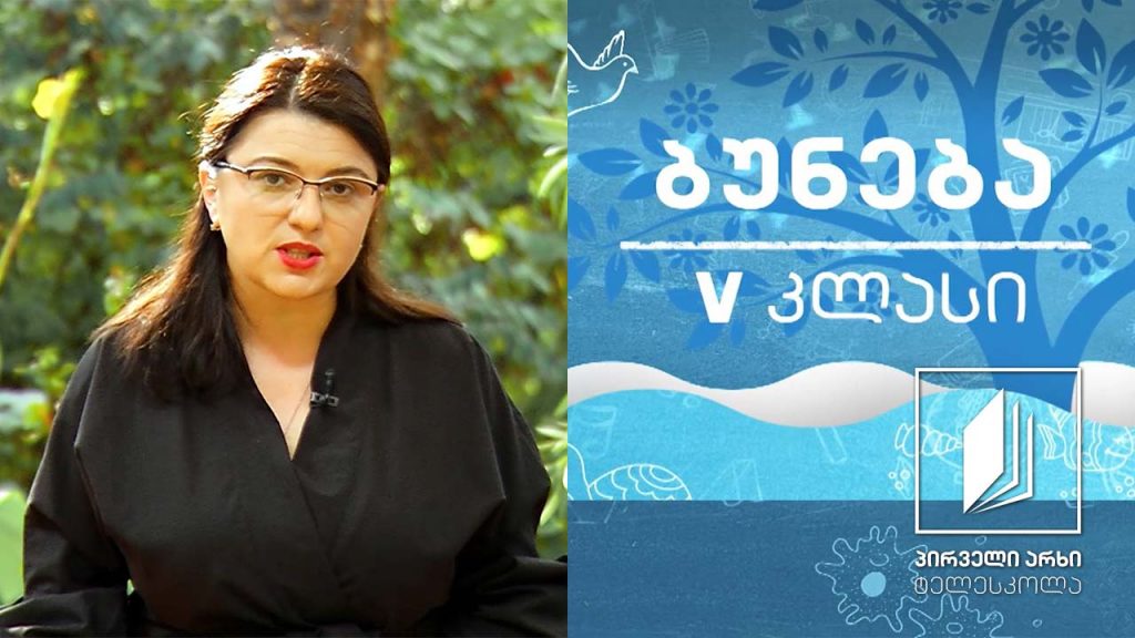 ბუნება V კლასი – ცხოვრება ტყეში; იარუსიანობა #ტელესკოლა