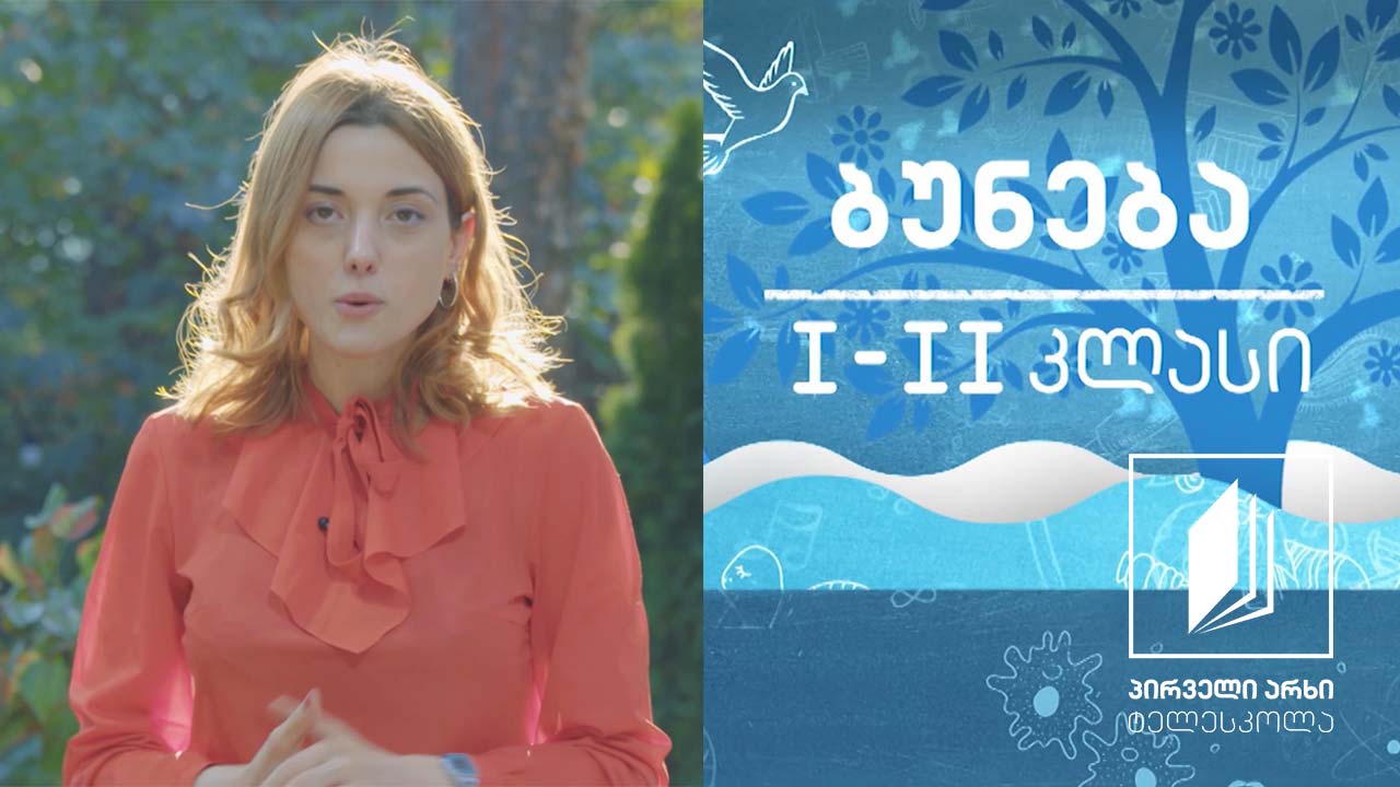 ბუნება, I-II კლასი - ცხოველებიც იზრდებიან; ცხოველთა ნაშიერები #ტელესკოლა