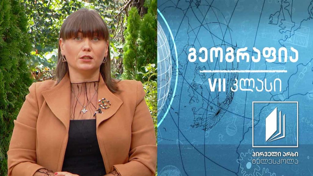 გეოგრაფია VII კლასი – ლითოსფერო – ენდოგენური ძალები #ტელესკოლა