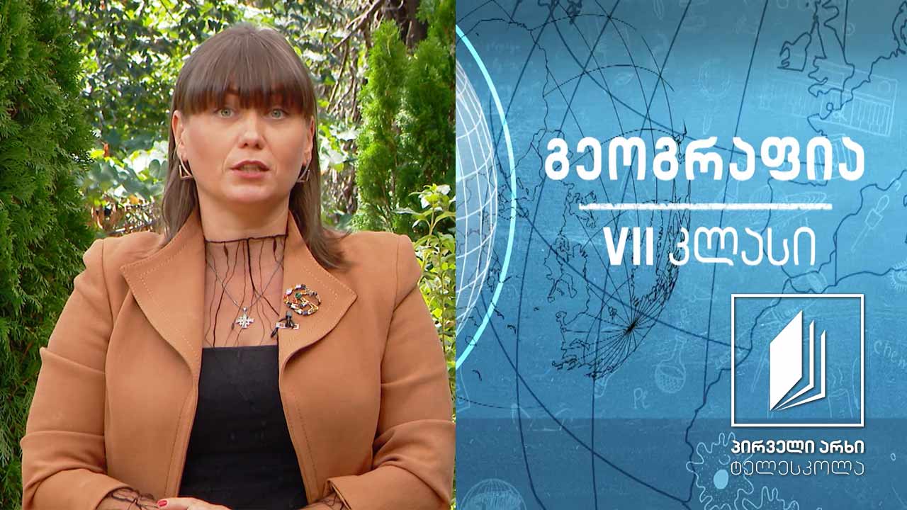 გეოგრაფია VII კლასი - ლითოსფერო - ენდოგენური ძალები #ტელესკოლა