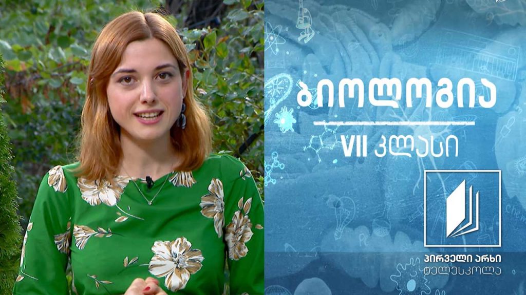 ბიოლოგია VII კლასი – ბაქტერიული და ვირუსული დაავადებები #ტელესკოლა