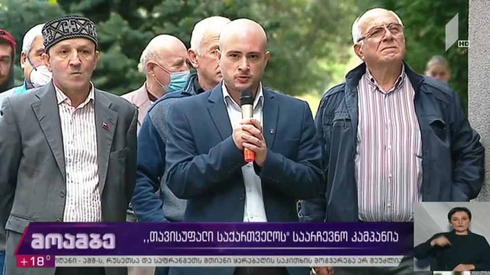 „თავისუფალი საქართველოს“ საარჩევნო კამპანია