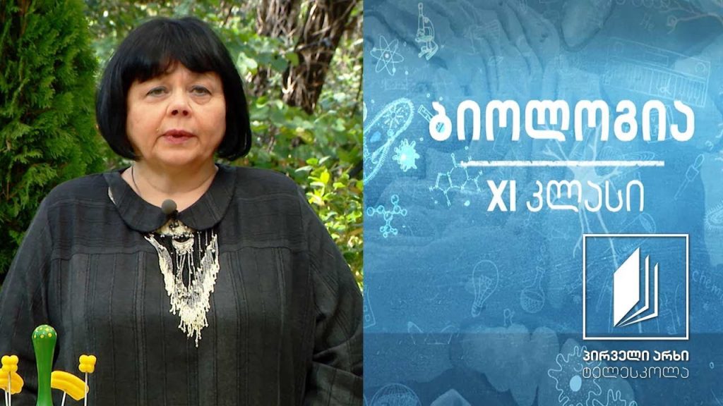 ბიოლოგია XI კლასი – ორმაგი განაყოფიერება ყვავილოვან მცენარეებში #ტელესკოლა