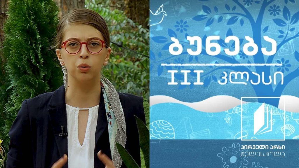 ბუნება, III კლასი – როგორი ფესვი აქვს მცენარეს; რისთვის სჭირდება მცენარეს ფესვი #ტელესკოლა