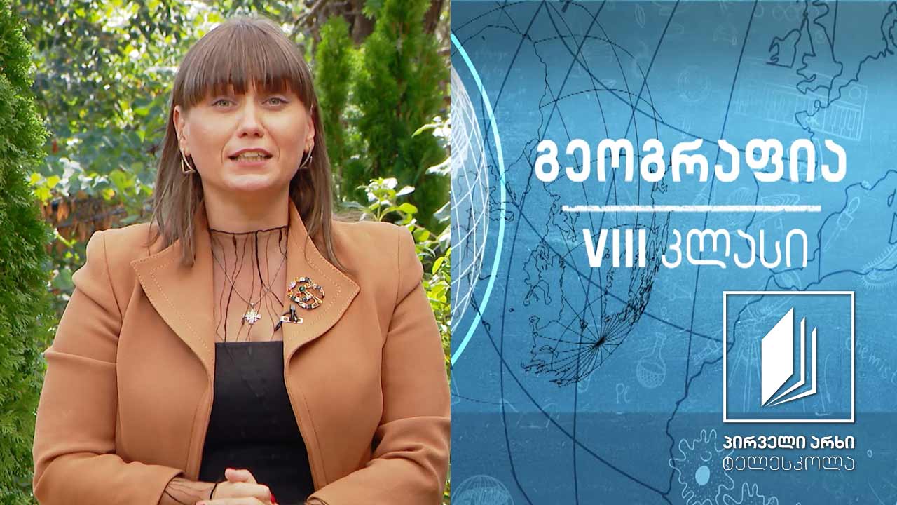 გეოგრაფია VIII კლასი - მოსახლეობის განსახლების ფორმები და ურბანიზაცია #ტელესკოლა