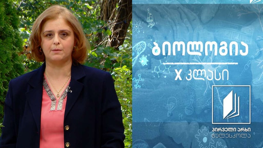 ბიოლოგია X – მიტოქონდრია, პლასტიდები, ციტოჩონჩხი #ტელესკოლა