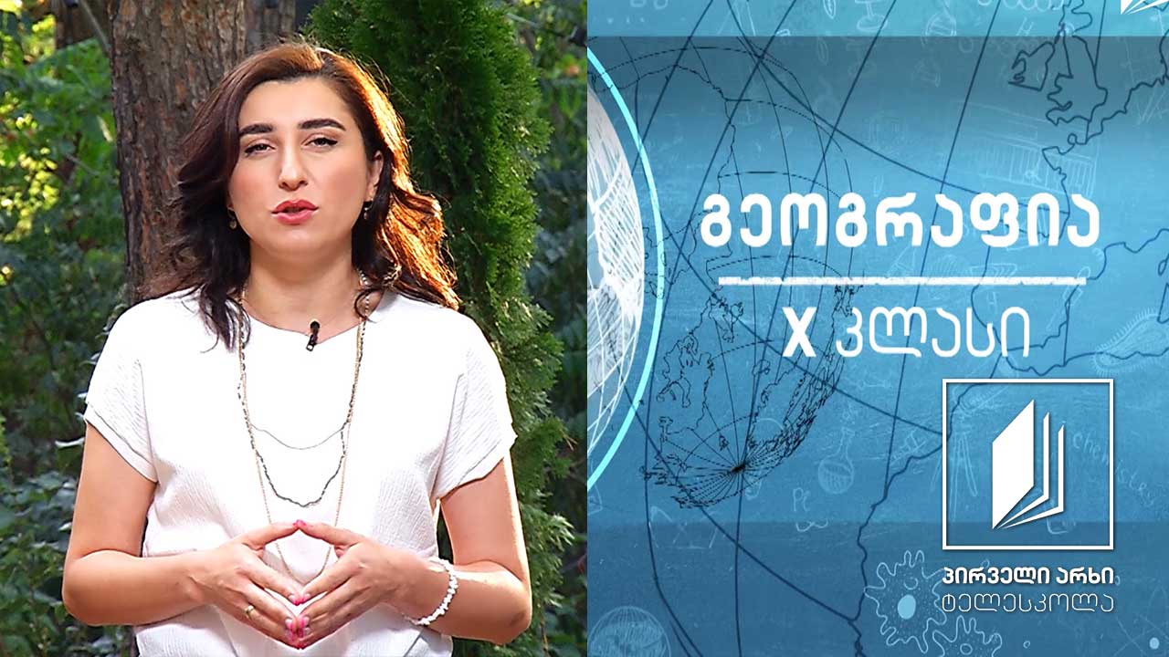გეოგრაფია X კლასი - განვითარებული და განვითარებადი ქვეყნები; საერთაშორისო ორგანიზაციები #ტელესკოლა