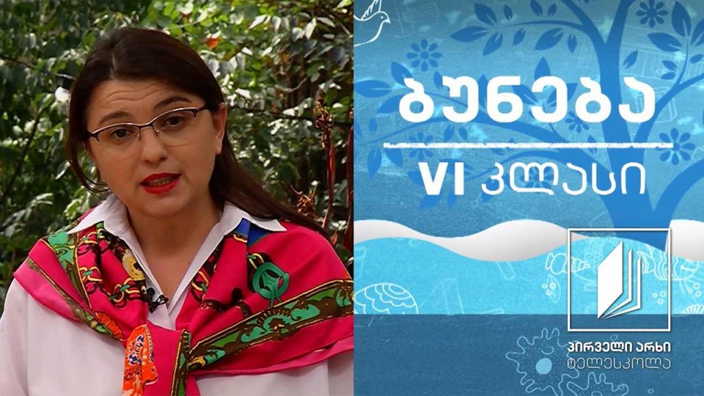 ბუნება, VI კლასი – როგორი ნარევები არსებობს? #ტელესკოლა