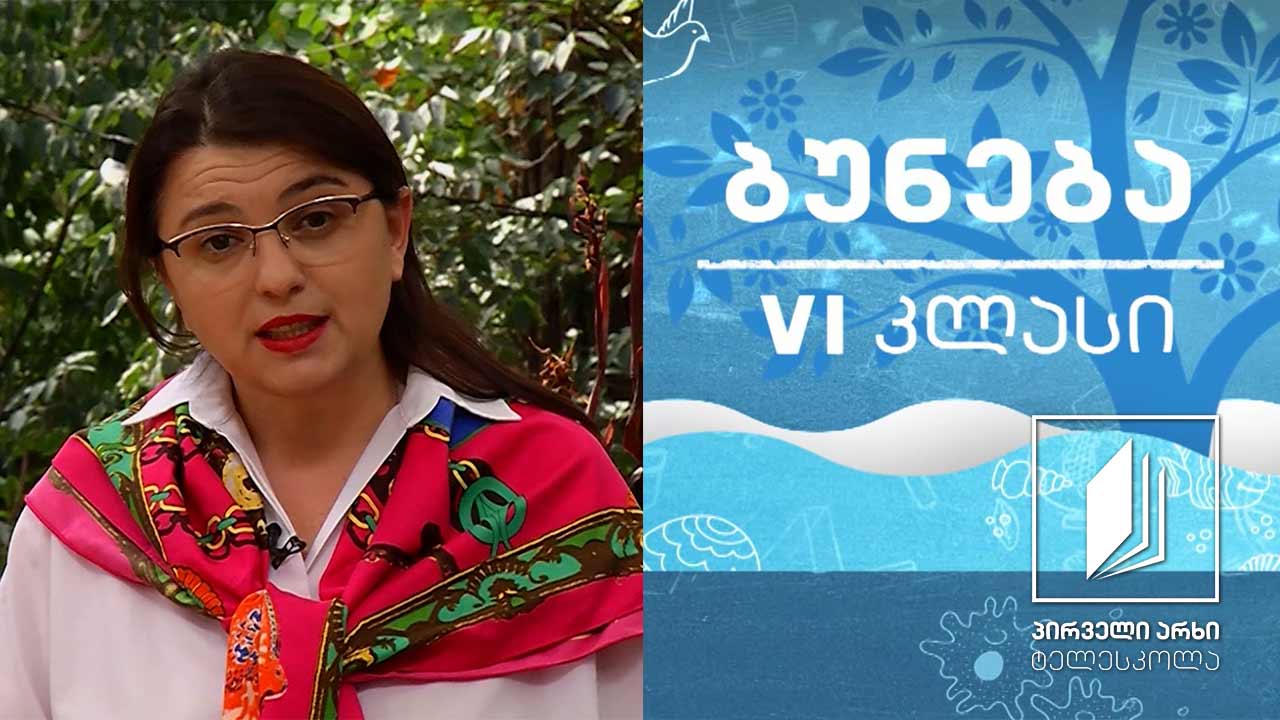 ბუნება, VI კლასი - როგორი ნარევები არსებობს? #ტელესკოლა
