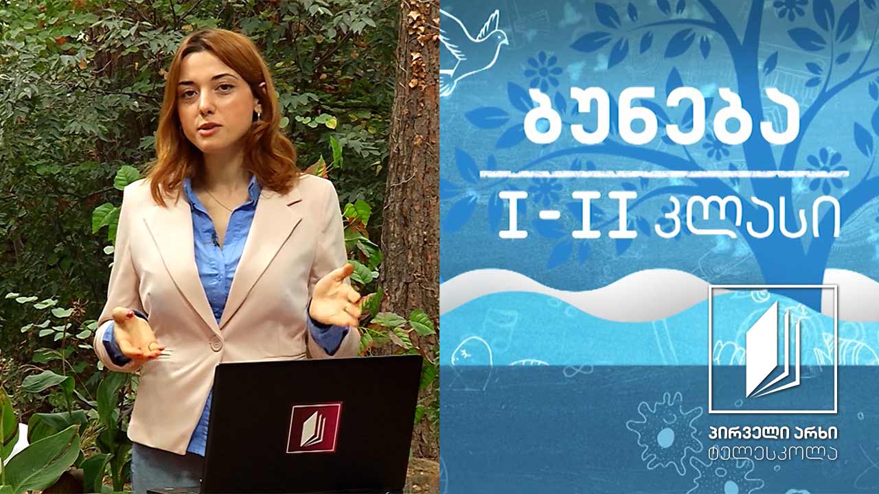 ბუნება, I-II კლასი - ცოცხალი და არაცოცხალი #ტელესკოლა