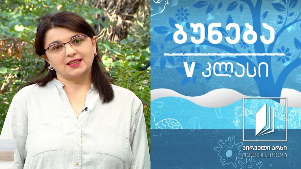 ბუნება V კლასი – ჩვენი სამყარო #ტელესკოლა