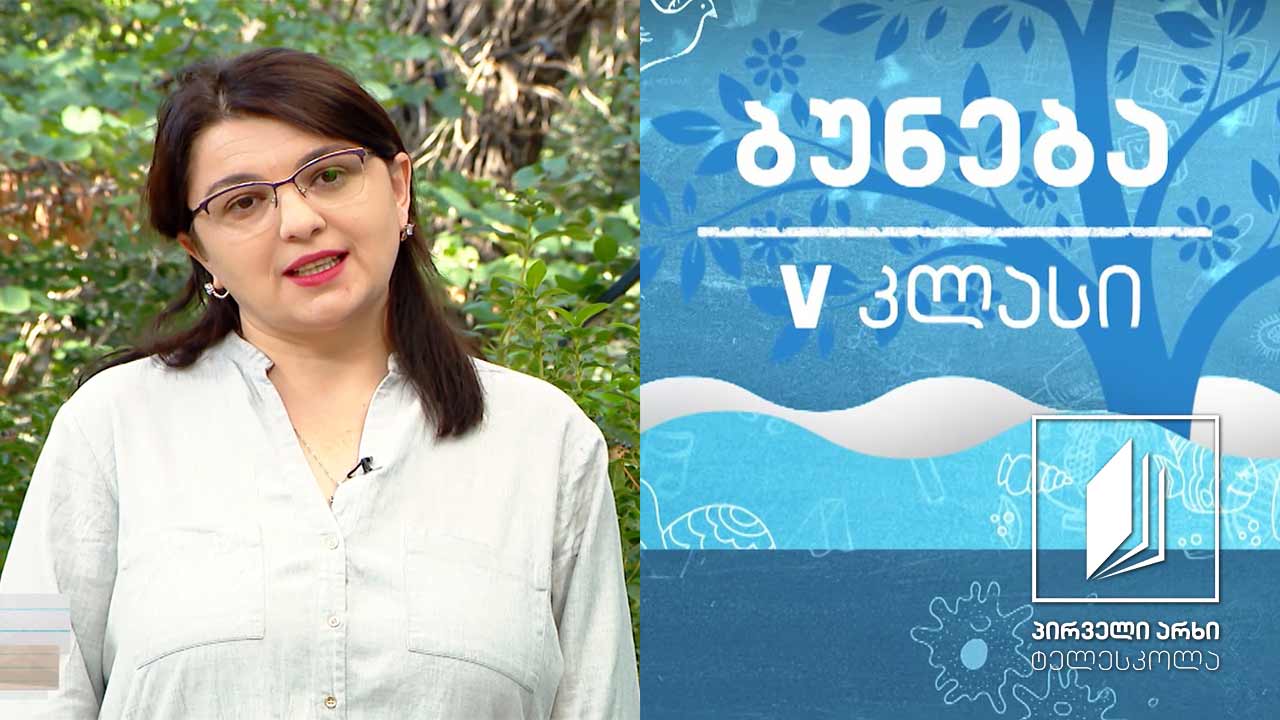 ბუნება V კლასი - ჩვენი სამყარო #ტელესკოლა