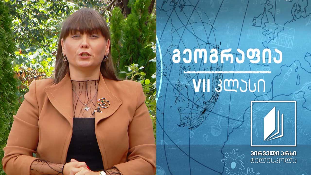 გეოგრაფია , VII კლასი - ლითოსფეროს გარეგანი - ეგზოგენური ძალები #ტელესკოლა