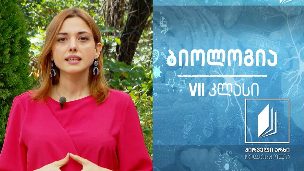 ბიოლოგია,VII კლასი – ეუკარიოტული მიკროორგანიზმები; ერთუჯრედიანი სოკოები და წყალმცენარეები #ტელესკოლა