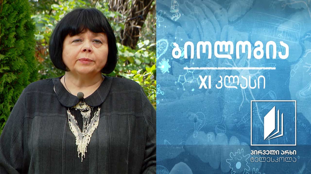 ბიოლოგია, XI კლასი  - ორგანიზმთა ინდივიდური განვითარება #ტელესკოლა
