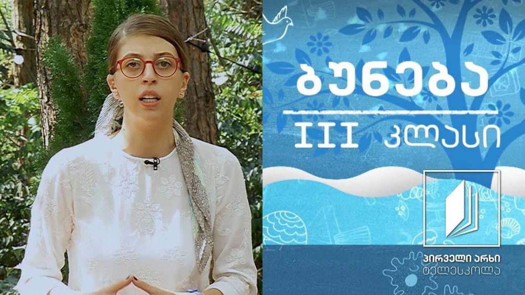 ბუნება, III კლასი – მცენარის ღერო; მცენარის ღეროს მნიშვნელობა #ტელესკოლა