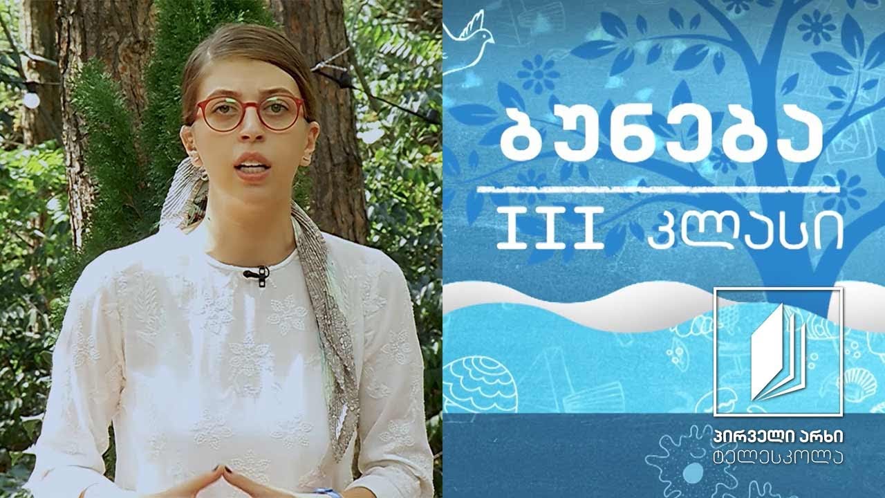 ბუნება, III კლასი - მცენარის ღერო; მცენარის ღეროს მნიშვნელობა #ტელესკოლა