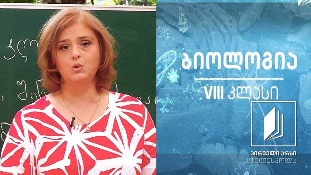 ბიოლოგია, VIII კლასი – რა ქმნის ორგანიზმის შინაგან თხევად გარემოს #ტელესკოლა