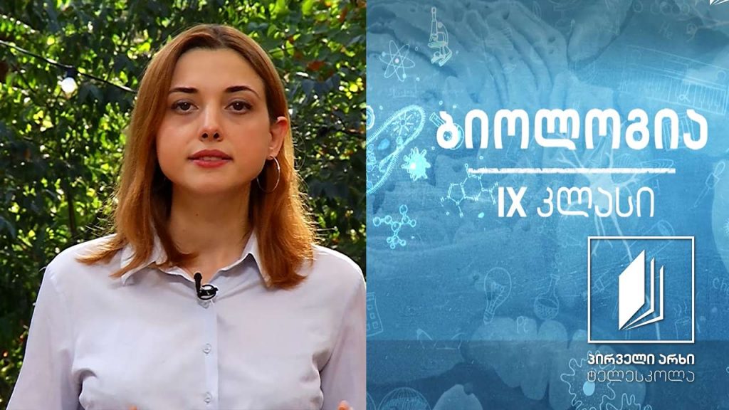 ბიოლოგია, IX კლასი – დამემკვიდრების სტატისტიკა; ვარჯიში გენეტიკურ ამოცანებზე #ტელესკოლა