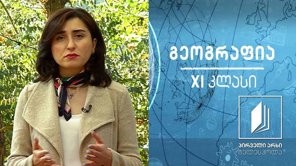 გეოგრაფია XI კლასი – შრომითი მიგრაცია #ტელესკოლა