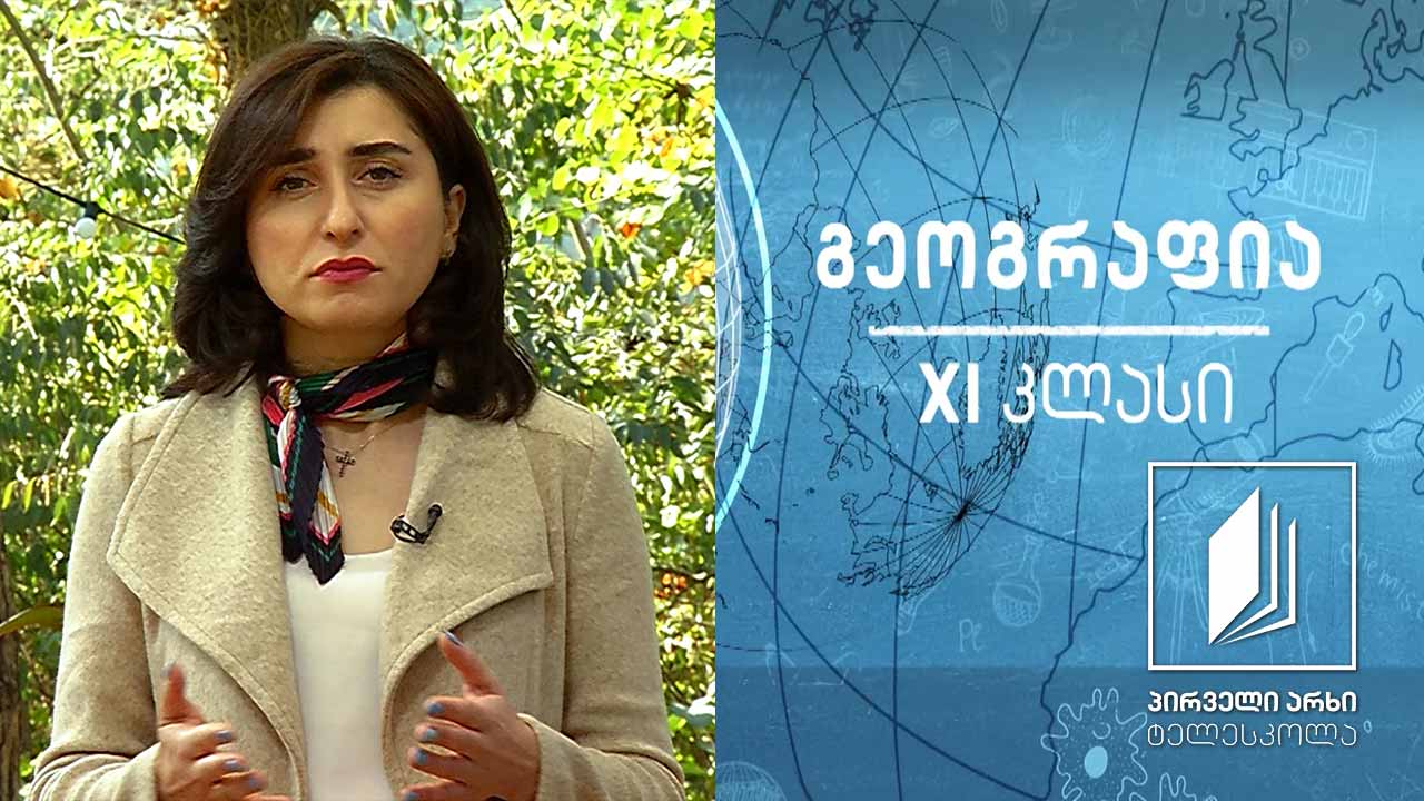 გეოგრაფია XI კლასი - შრომითი მიგრაცია #ტელესკოლა