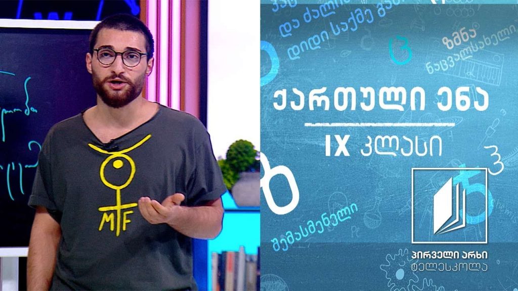 ქართული, IX კლასი – ,,დამპატიჟე“, მიხეილ ჯავახიშვილი #ტელესკოლა