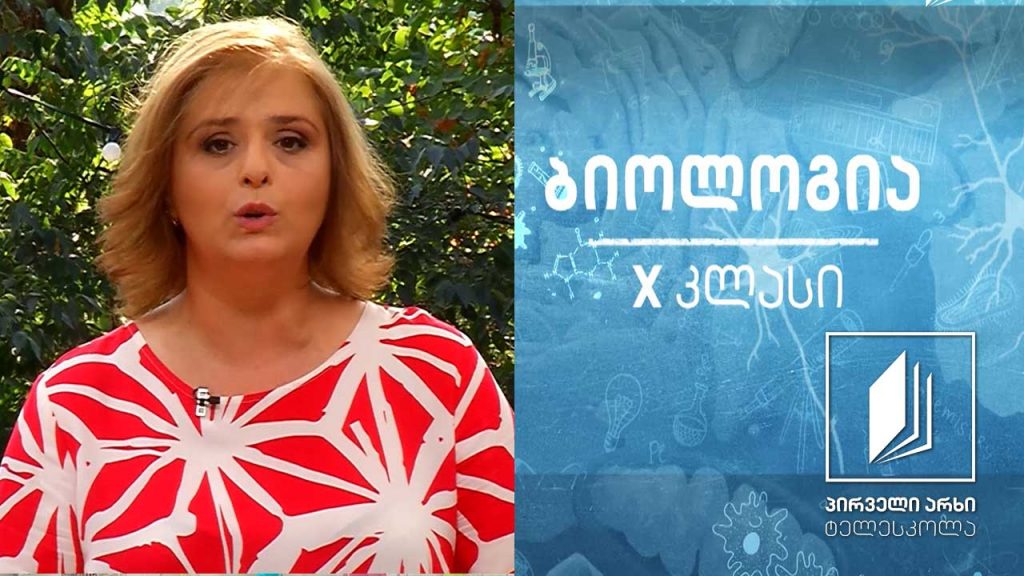 ბიოლოგია X კლასი – უჯრედული სუნთქვა – ენერგეტიკული ცვლა #ტელესკოლა