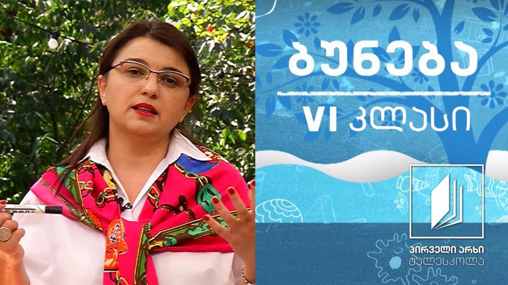 ბუნება, VI კლასი – როგორ გამოვყოთ ნივთიერება ნარევიდან? ნარევების დაყოფა #ტელესკოლა